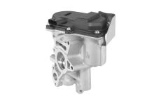 AGR-Ventil BorgWarner 729003D