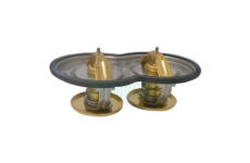 Termostat, chladivo HOFFER 8192852