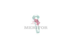 Sada na opravy, hřídel vačky brzdy MERITOR 68191930