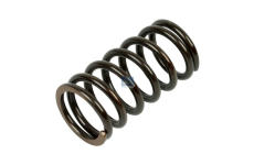 Pružina ventilu DT Spare Parts 1.10317