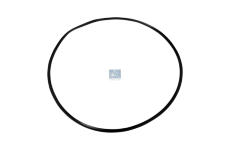 Těsnicí kroužek, hadička sání-kryt vzduchového filtru DT Spare Parts 4.20255