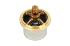 Termostat, chladivo DT Spare Parts 6.30309