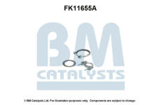 Montazni sada, filtr pevnych castic BM CATALYSTS FK11655