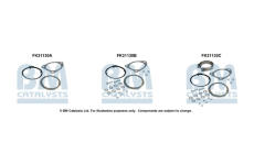 Montazni sada, katalyzator BM CATALYSTS FK31130