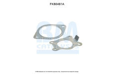 Montazni sada, katalyzator BM CATALYSTS FK80481