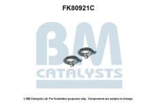 Montazni sada, katalyzator BM CATALYSTS FK80921