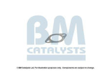 Montazni sada, katalyzator BM CATALYSTS FK91059A