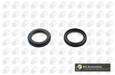 Těsnicí kroužek hřídele, klikový hřídel BGA OS4250