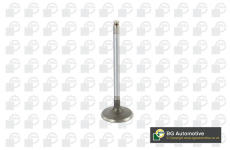 Sací ventil BGA V560201