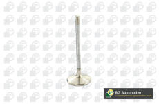 Výfukový ventil BGA V560202