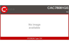 generátor CASCO CAL10632AS