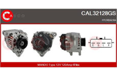 Rameno sterace, cisteni skel CASCO CWA73308AS
