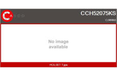 AGR-Ventil CASCO CVG74004GS