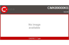 Vypinac vystraznych blikacu CASCO CHL71000AS