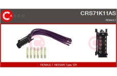 AGR-Ventil CASCO CVG76013GS