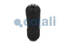 Hlavice radici paky COJALI 2880173