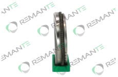 Setrvačník REMANTE 009-001-000294R