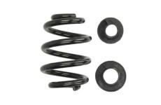 Pružina podvozku Magnum Technology SW116MT