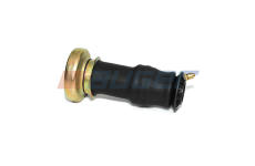 vlnovec pérování kabiny SCANIA 124  43,7x257mm s hřibem