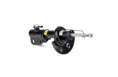 Tlumič pérování Arnott SK-2952