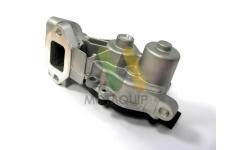 AGR-Ventil MOTAQUIP LVER121