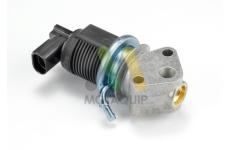 AGR-Ventil MOTAQUIP LVER258