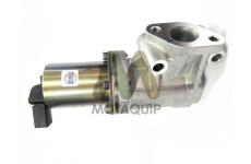 AGR-Ventil MOTAQUIP LVER321