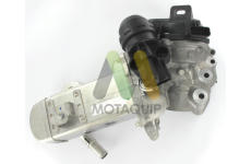 AGR-Ventil MOTAQUIP LVER365
