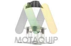 AGR-Ventil MOTAQUIP LVER417