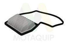 Vzduchový filtr MOTAQUIP LVFA1765