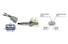 Lambda sonda MOTAQUIP LVOS2025