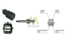 Lambda sonda MOTAQUIP LVOS2043