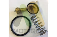 Termostat, chladivo MOTAQUIP LVTK202