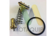 Termostat, chladivo MOTAQUIP LVTK204