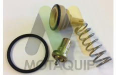 Termostat, chladivo MOTAQUIP LVTK205