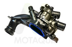 Termostat, chladivo MOTAQUIP LVTK255