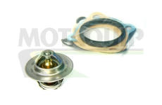 Termostat, chladivo MOTAQUIP VTK12