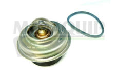 Termostat, chladivo MOTAQUIP VTK21