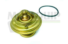 Termostat, chladivo MOTAQUIP VTK23