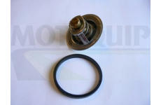 Termostat, chladivo MOTAQUIP VTK68