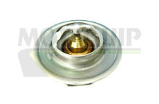 Termostat, chladivo MOTAQUIP VTS117