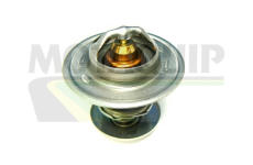 Termostat, chladivo MOTAQUIP VTS212