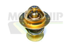 Termostat, chladivo MOTAQUIP VTS239
