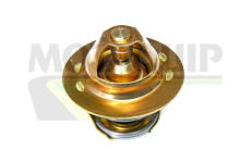 Termostat, chladivo MOTAQUIP VTS266