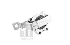 Zavěšení motoru TEDGUM TED24027
