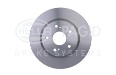 Brzdový kotouč HELLA PAGID 8DD 355 113-621
