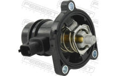 Termostat, chladivo FEBEST 10462-009