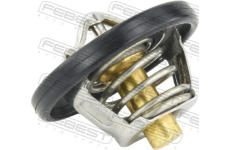 Termostat, chladivo FEBEST 21462-003