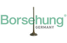 Sací ventil Borsehung B10332