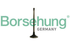 Výfukový ventil Borsehung B10333